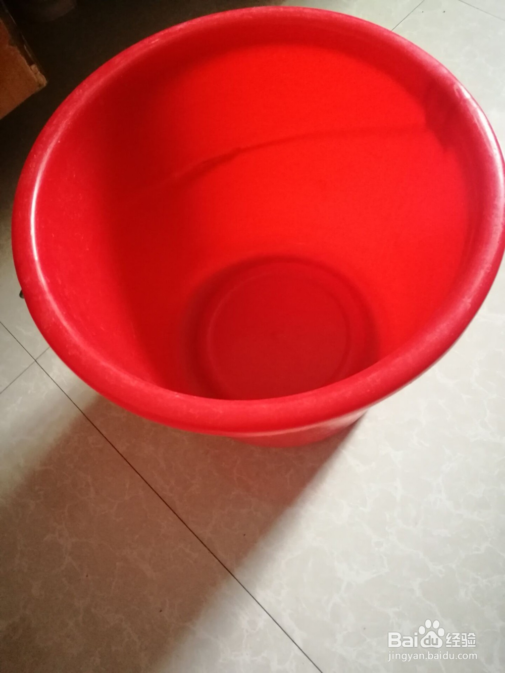 怎样不花钱打造泰迪狗的日常生活?