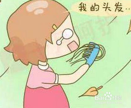 长时间脱发怎么能够调理呢