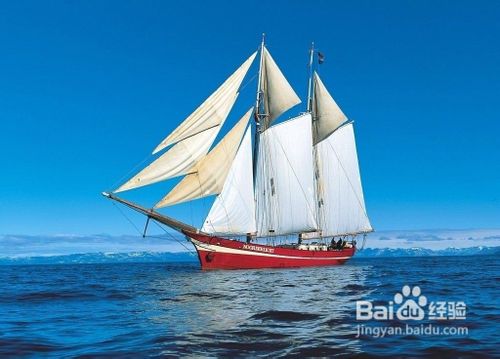 山东企业如何了解营销策划？