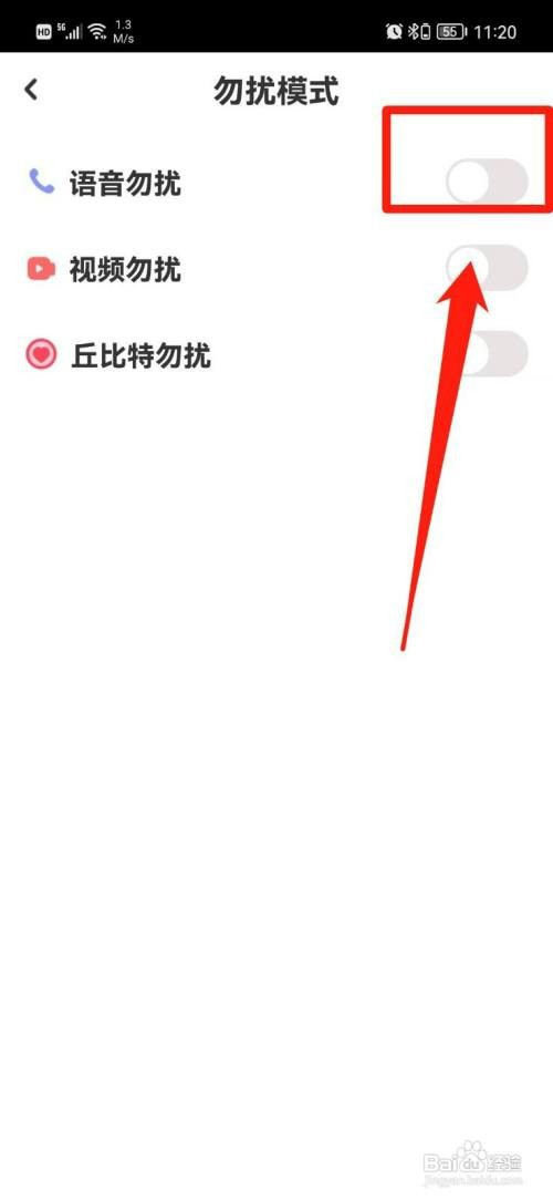 她盼APP如何设置语音勿扰模式