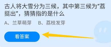 蚂蚁庄园12月6日大雪分为三候，第三候为荔挺出