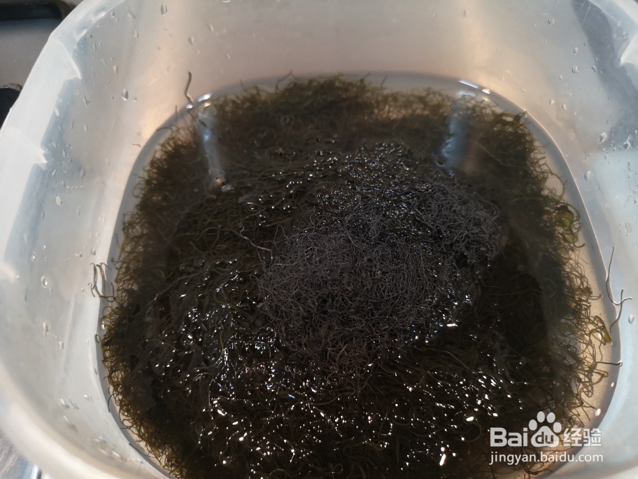 诱惑味蕾的发菜蚝士眉豆汤市汤