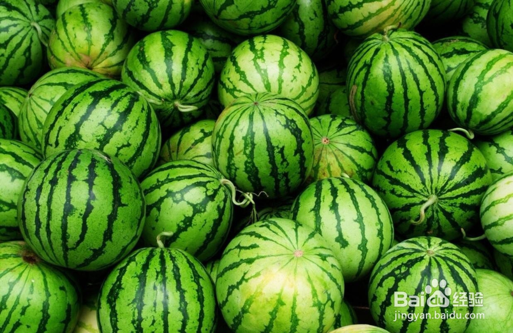 怎么挑选西瓜最甜最好吃