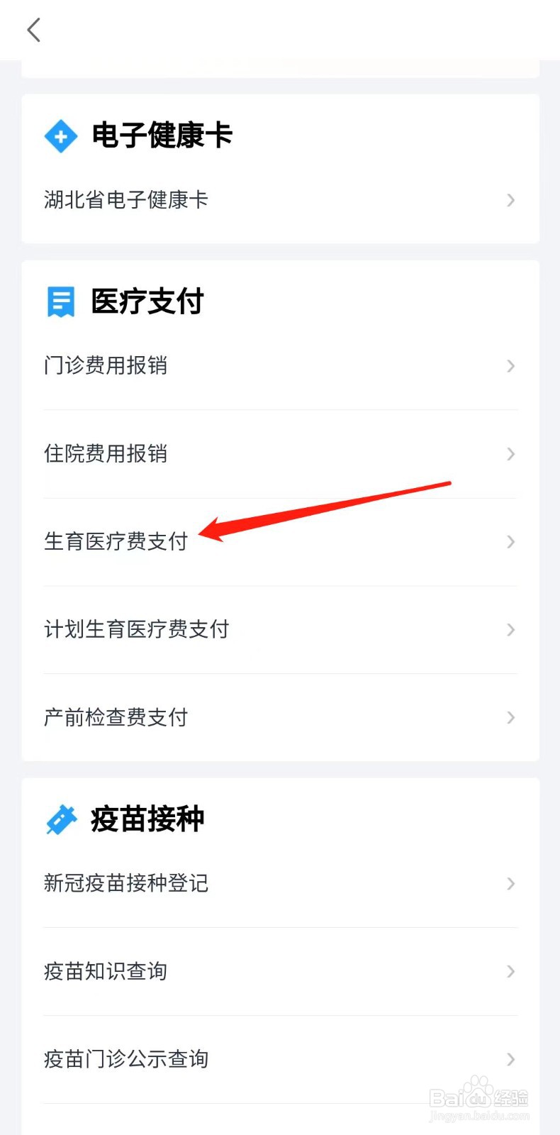 怎么申请生育医疗费