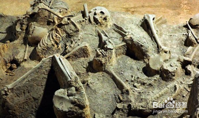 王者荣耀白起原身是个怎样的人