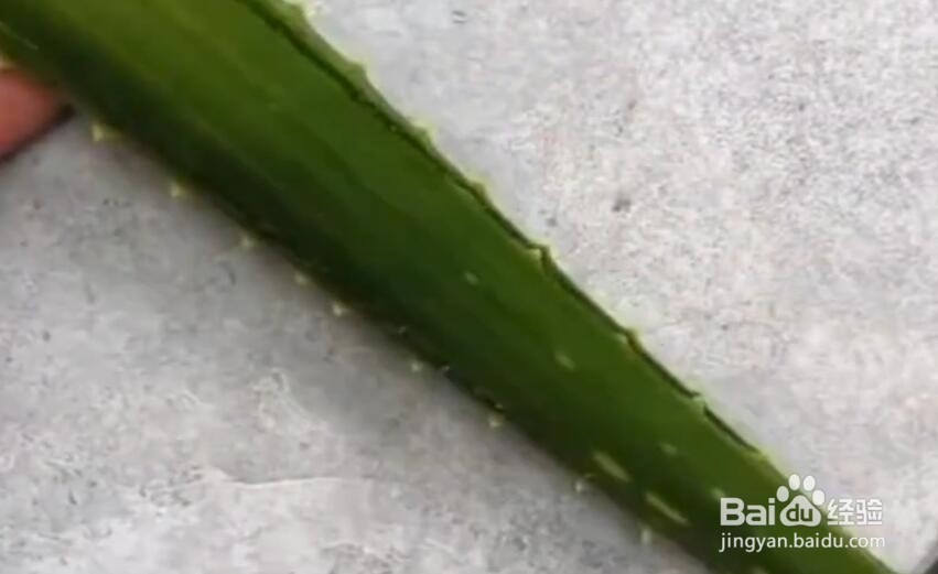 如何使用芦荟胶的隐藏功能