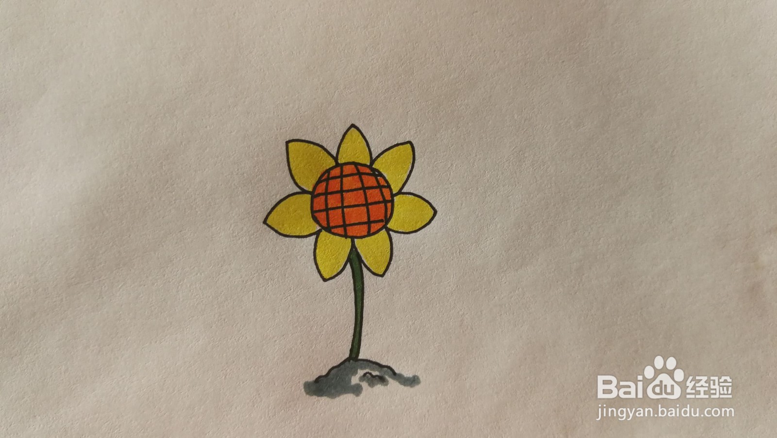 #经验分享官#向日葵简笔画