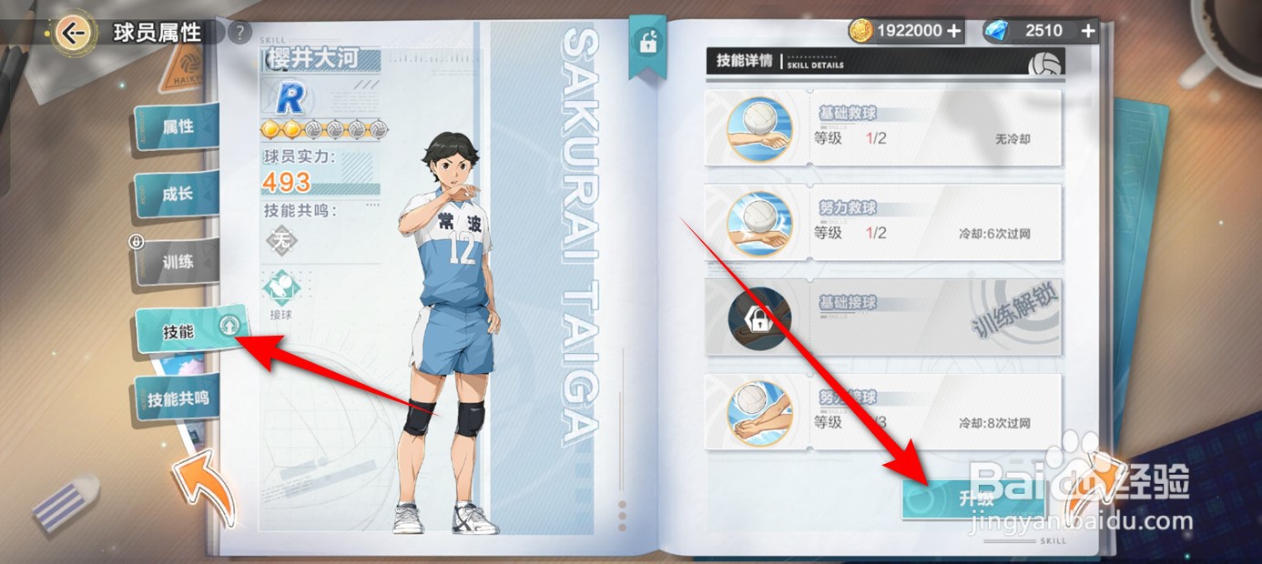 排球少年新的征程球员技能如何升级
