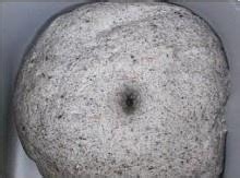 黑芝麻核桃馒头