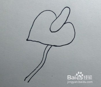 简笔画：花卉画法教程