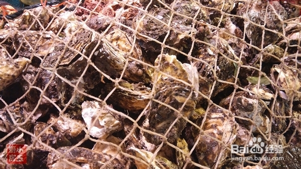 鲜腌生蚝:念念不忘的潮汕味道