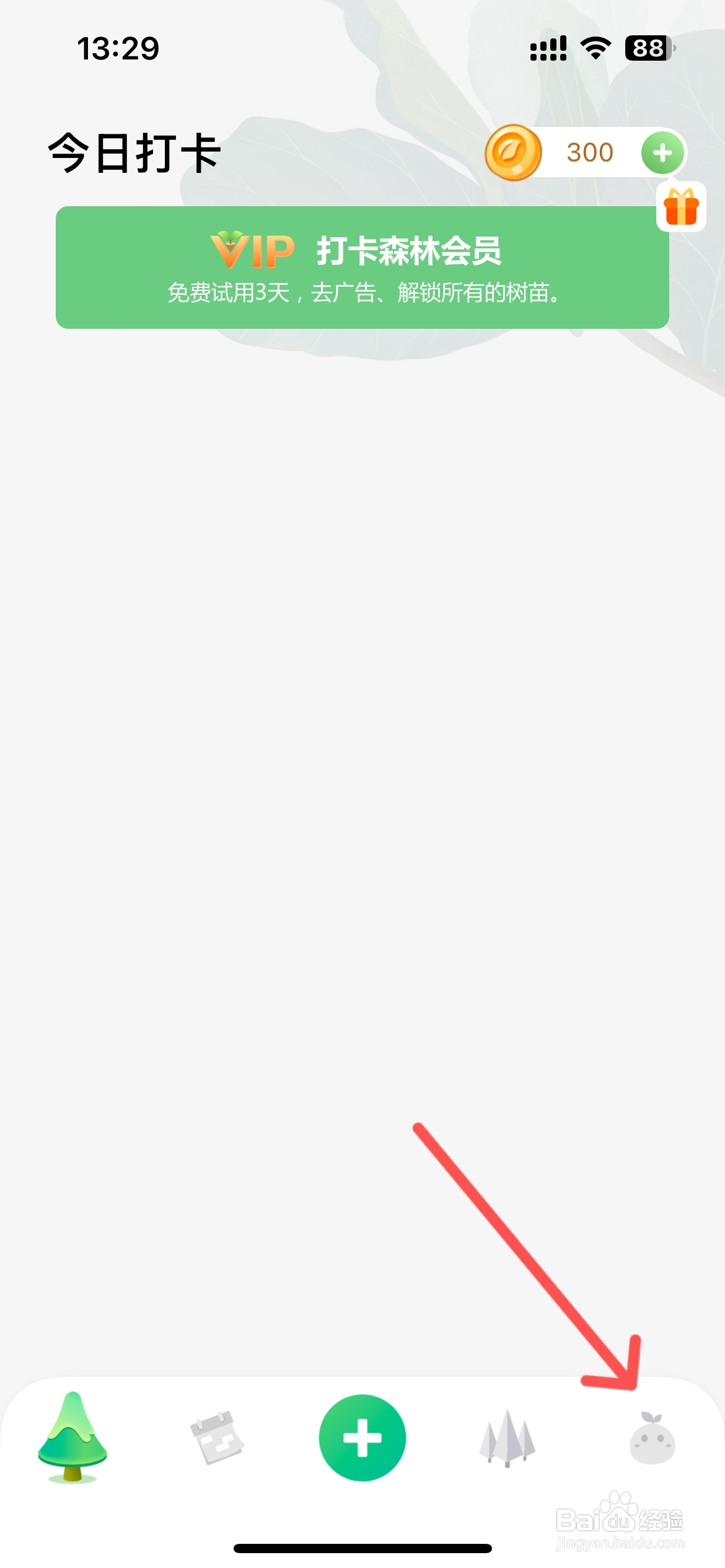 打卡森林怎么关闭打卡声音