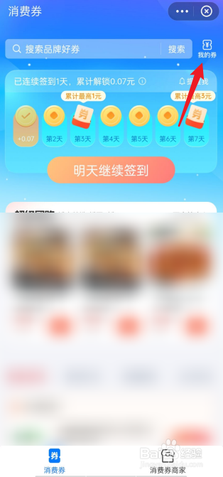 支付宝如何查看我的消费券