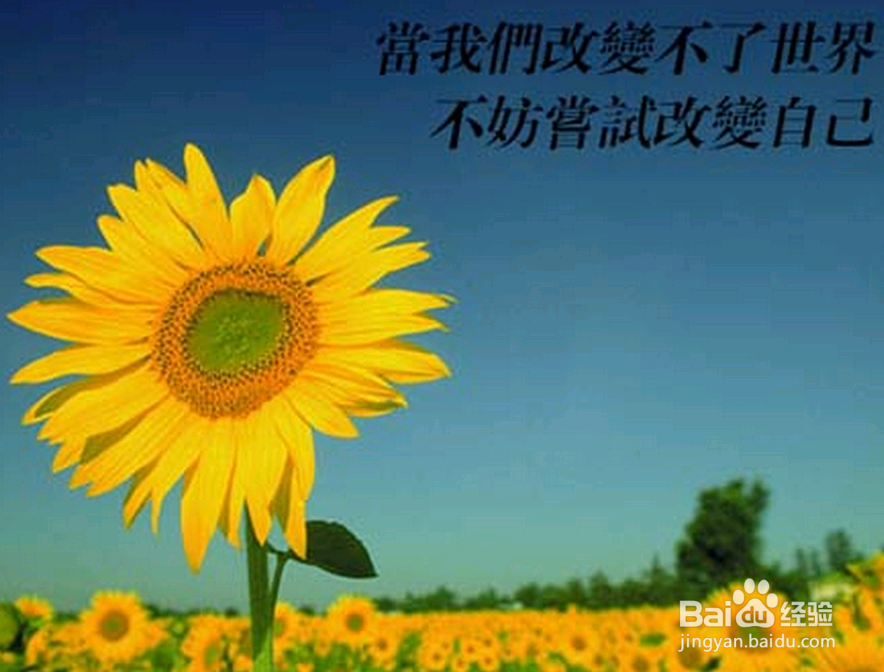 为什么穷人很难成功?你之所以受穷是有原因的!