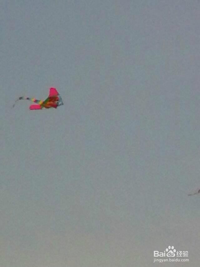 城市中的孩子该如何度过美好周末？