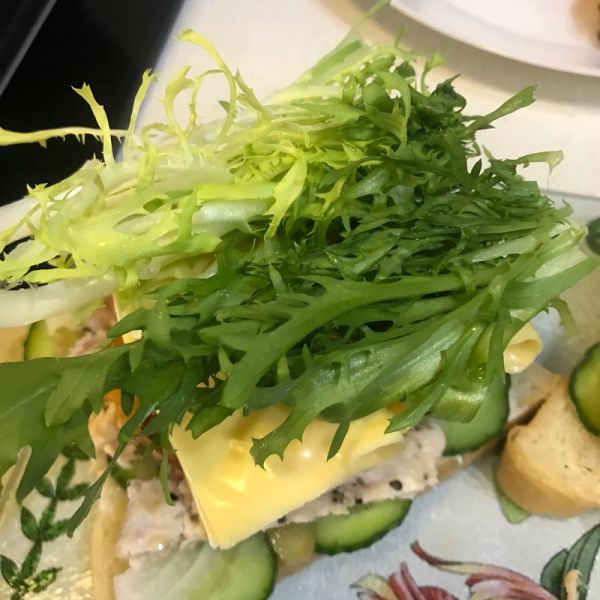 鸡胸肉芝士三明治