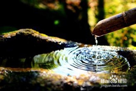 孩子没主见，应该怎么教？