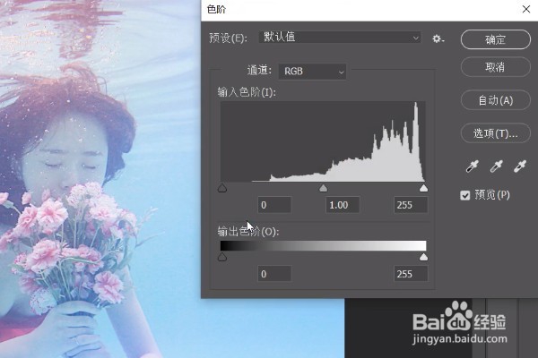 PS如何使用色阶功能？