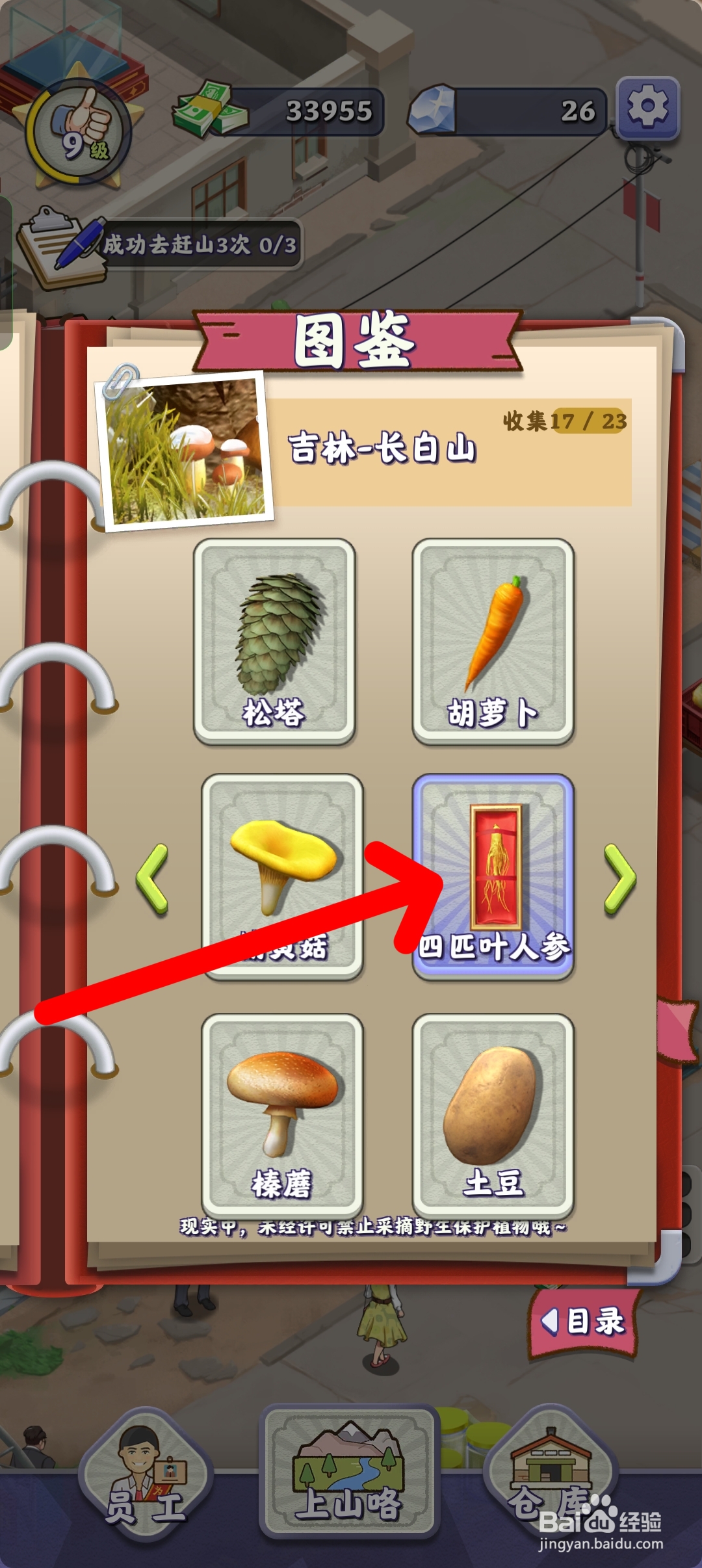 夺笋高手在哪里查看四匹叶人参图鉴