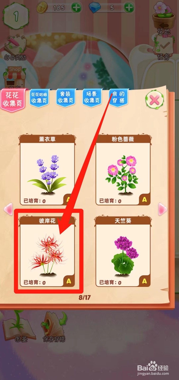 花花姑娘之魔法花园如何查看彼岸花简介