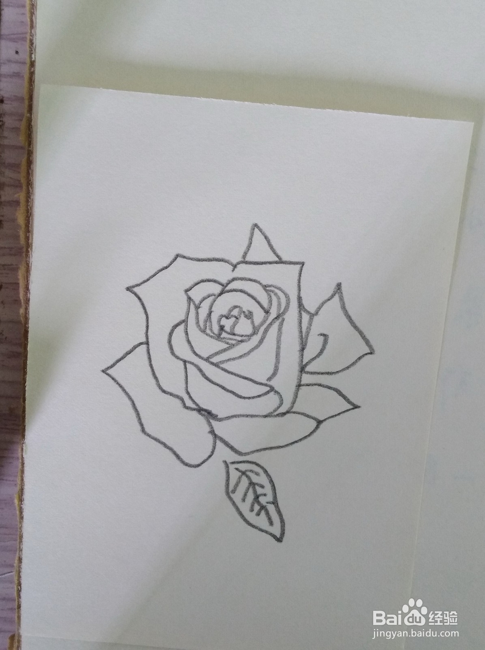 简笔画画玫瑰花