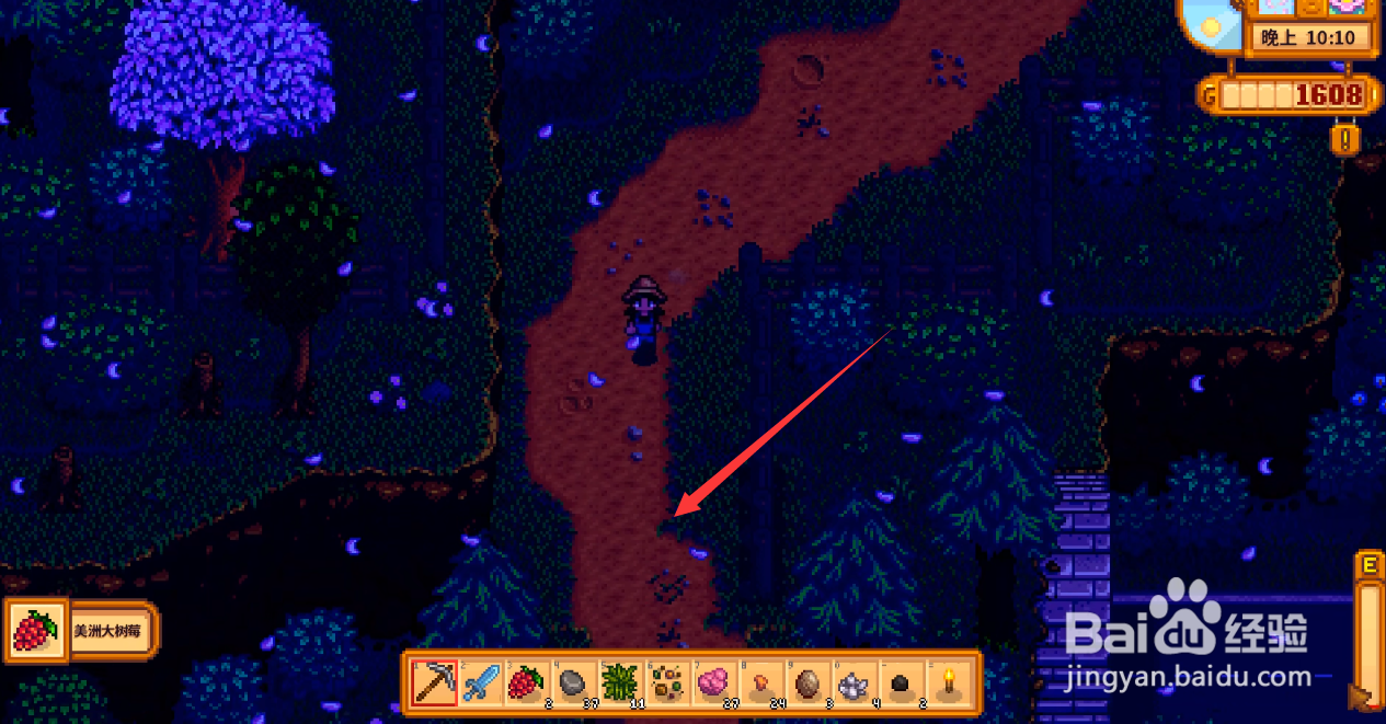 星露谷物语怎么利用猪找松露