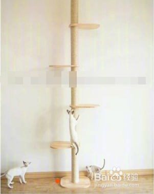 好用到哭的养猫神器!感觉打开了新世界大门~