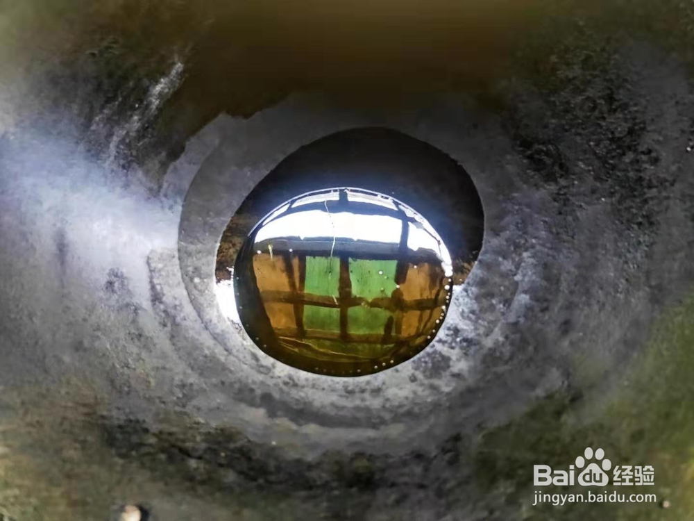 清蒸武昌鱼---养身菜系列