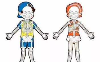 长途开车需要注意的