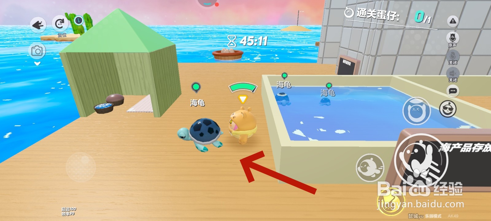 蛋仔派对游戏中如何将海龟带出水池