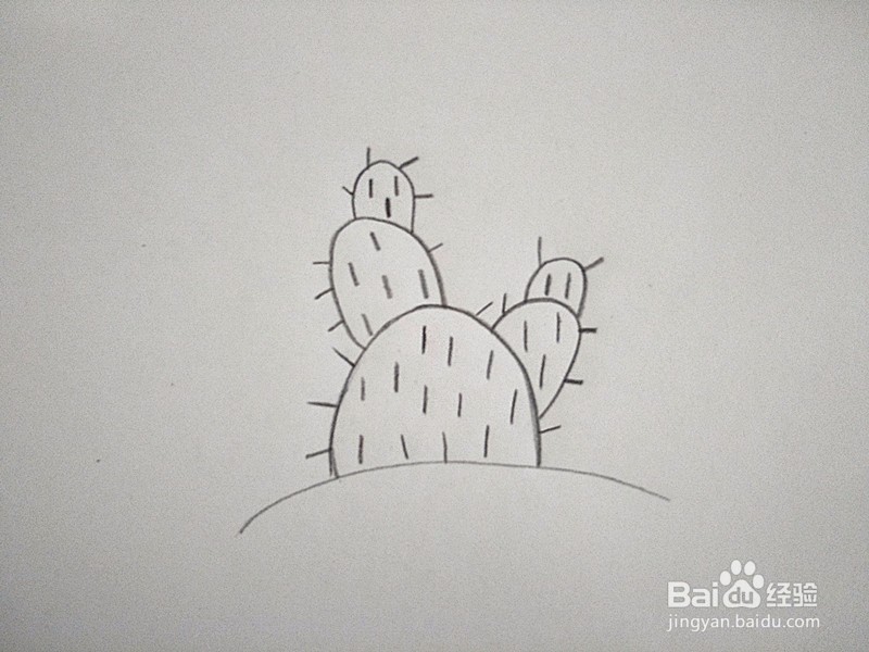 仙人掌简笔画的画法