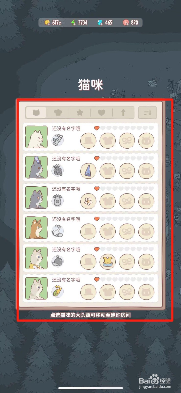 猫咪和汤如何给猫咪穿戴羽毛
