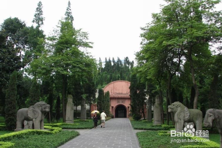 在时间紧急的情况下来成都旅游的攻略