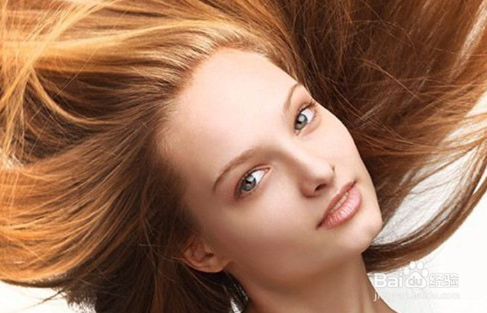 脱发可以补充什么食物？