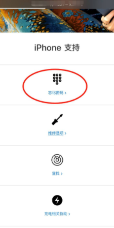 苹果手机显示已停用怎么解决