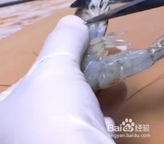 开背虾蒸粉丝的做法
