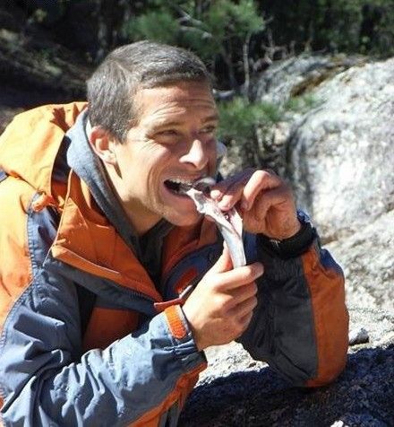 怎样在野外寻找水源