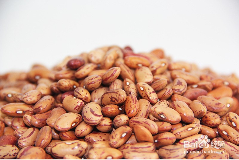 奶花芸豆如何出口