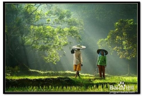 怎样有效预防癌症?