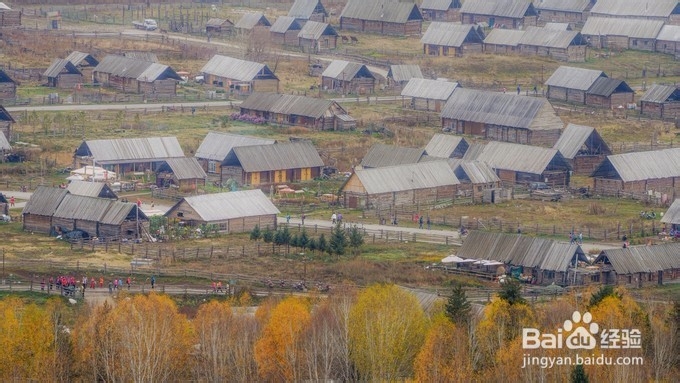 初见禾木 | 美不胜收的秋景!