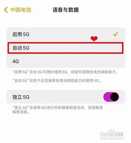 iphone12如何开启自动5G呢