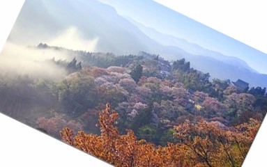 如何用photoshop把一张图片旋转任意角度