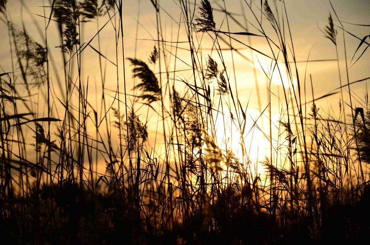 西北风3到4级是多大风