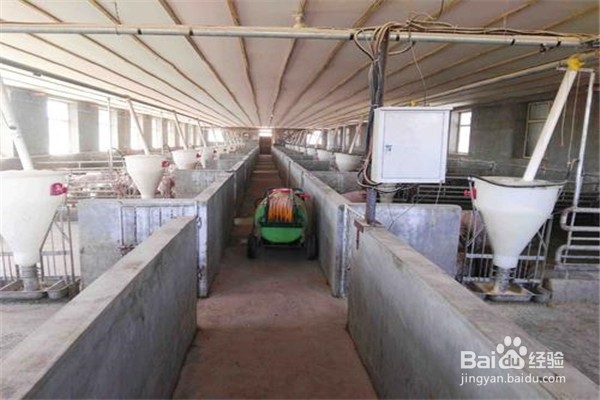 新型猪舍怎么建设
