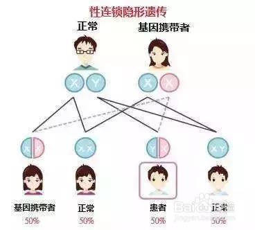 儿童吃蚕豆险丧命！蚕豆病的病因是什么