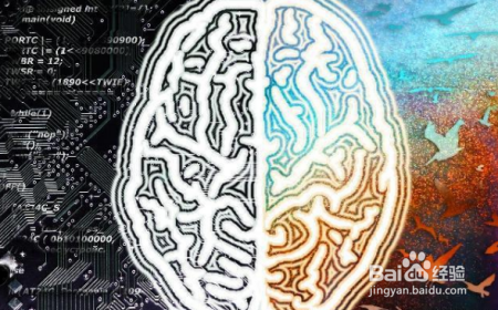宝宝是左撇子,强行加以纠正,小心宝宝变得越来越笨