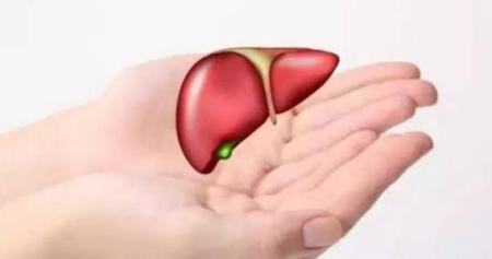 体检查出肝囊肿，究竟是不是肿瘤？你需要知道这些！