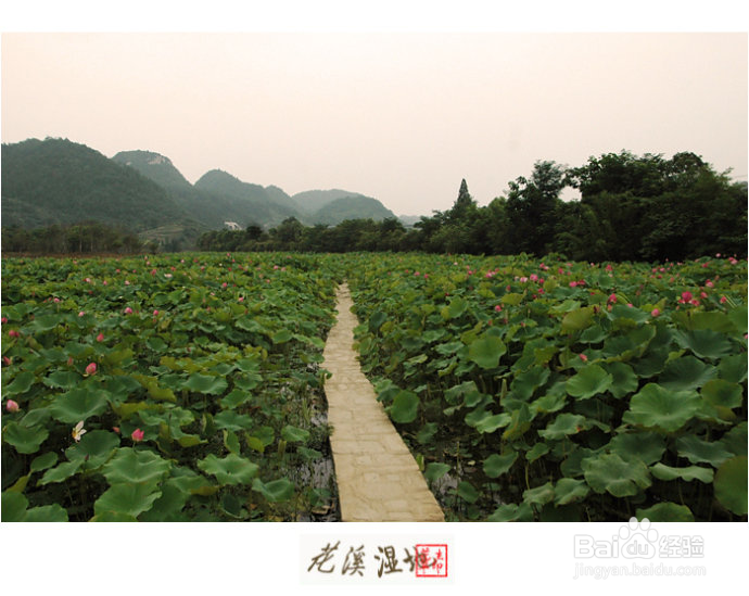 到贵阳去哪里旅游？