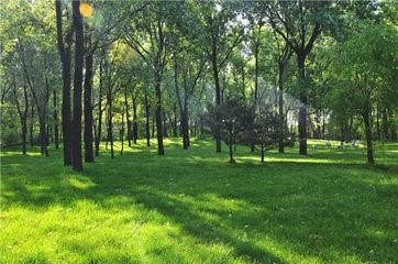 如何为怀孕创造舒适的生活环境