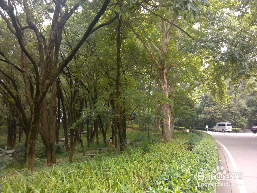 武汉大学新生指南之日常生活